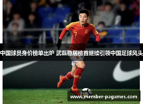 中国球员身价榜单出炉 武磊稳居榜首继续引领中国足球风头 中国球员身价榜单出炉 武磊稳居榜首继续引领中国足球风头