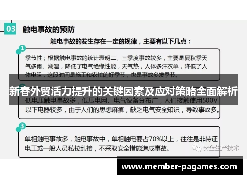 新春外贸活力提升的关键因素及应对策略全面解析