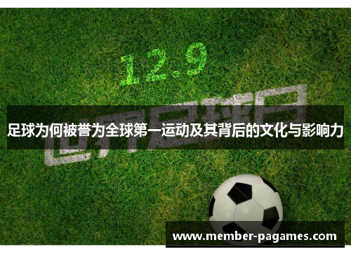 足球为何被誉为全球第一运动及其背后的文化与影响力