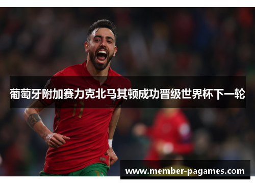 葡萄牙附加赛力克北马其顿成功晋级世界杯下一轮